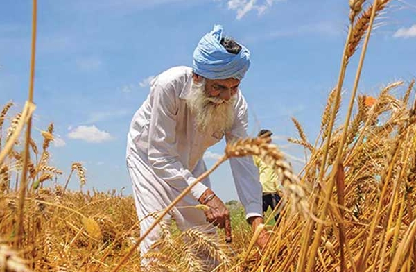 Cooperative Movement in Agriculture