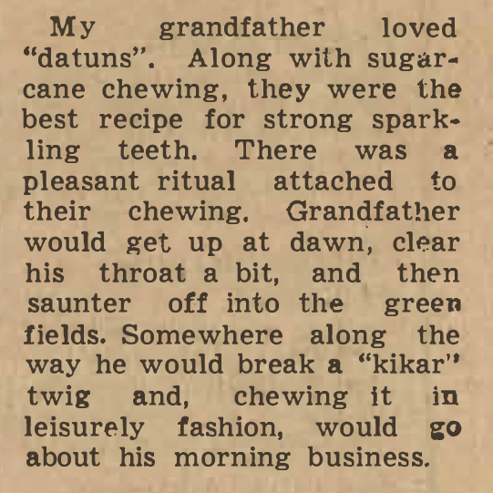 Oh, for the “kikar” tree!