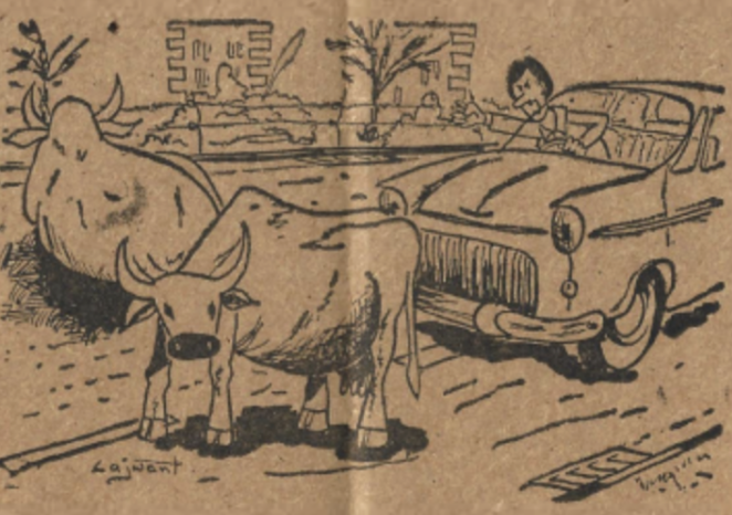 Chandigarh: road sense and nonsense