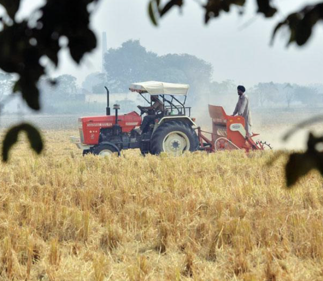 Joy, And The River Of Sorrow