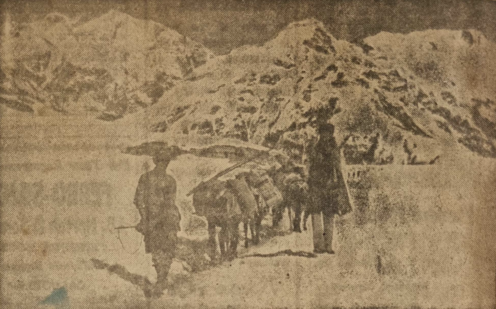 Land of Perpetual Sunshine