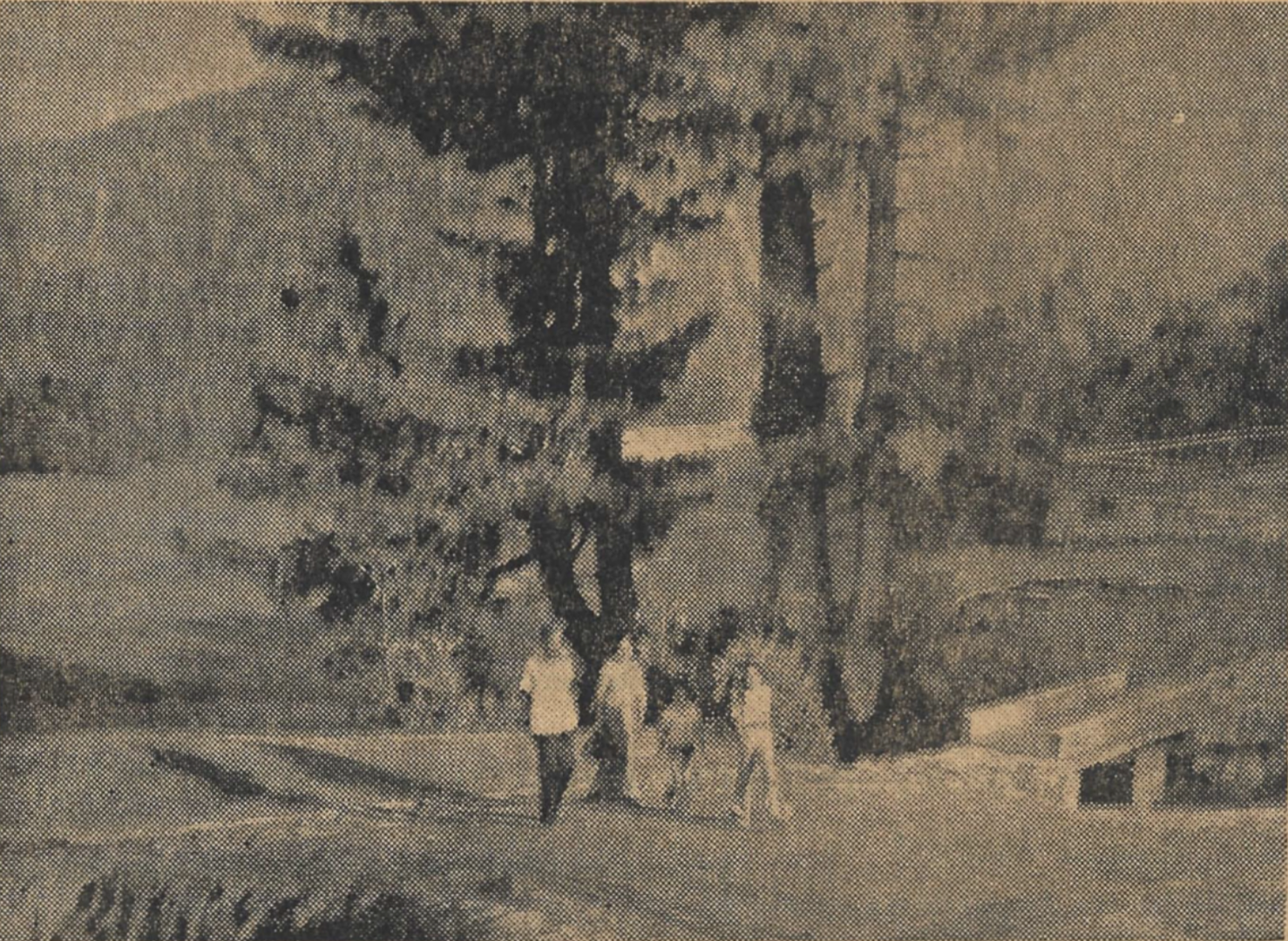 The Meadows of Sanasar