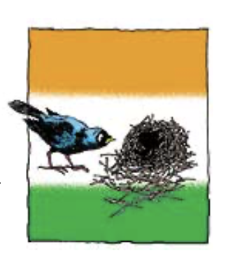 Birds, Bees And Squirrels